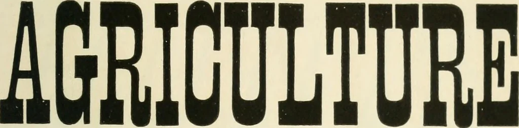 An illustration from Selections from the specimen book of the Fann Street Foundry, 1874, leaf 240