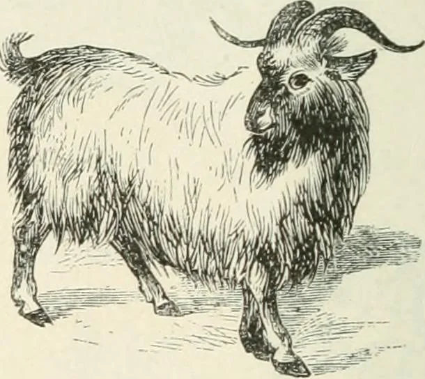 An illustration from Selections from the specimen book of the Fann Street Foundry, 1874, leaf 279