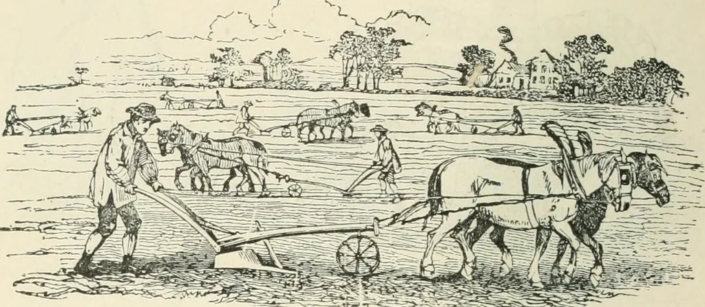 An illustration from Selections from the specimen book of the Fann Street Foundry, 1874, leaf 289