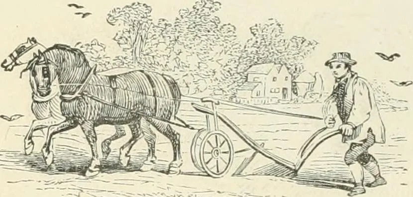 An illustration from Selections from the specimen book of the Fann Street Foundry, 1874, leaf 289