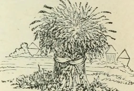 An illustration from Selections from the specimen book of the Fann Street Foundry, 1874, leaf 289