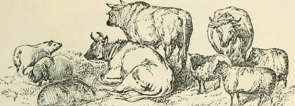 An illustration from Selections from the specimen book of the Fann Street Foundry, 1874, leaf 290