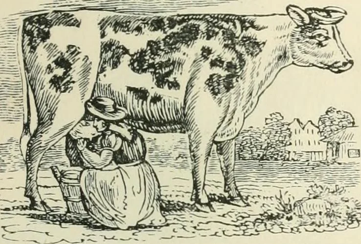 An illustration from Selections from the specimen book of the Fann Street Foundry, 1874, leaf 290