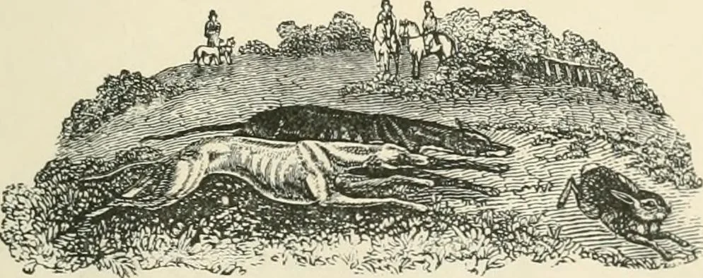 An illustration from Selections from the specimen book of the Fann Street Foundry, 1874, leaf 290