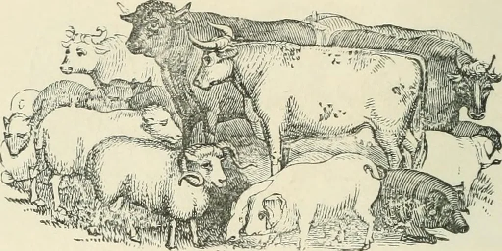 An illustration from Selections from the specimen book of the Fann Street Foundry, 1874, leaf 291