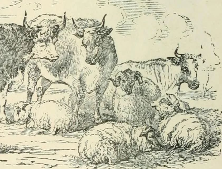 An illustration from Selections from the specimen book of the Fann Street Foundry, 1874, leaf 291