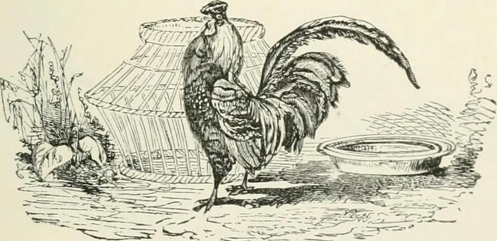 An illustration from Selections from the specimen book of the Fann Street Foundry, 1874, leaf 292