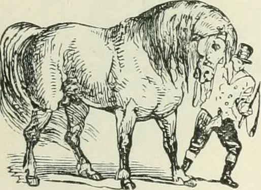An illustration from Selections from the specimen book of the Fann Street Foundry, 1874, leaf 294