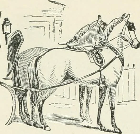 An illustration from Selections from the specimen book of the Fann Street Foundry, 1874, leaf 295