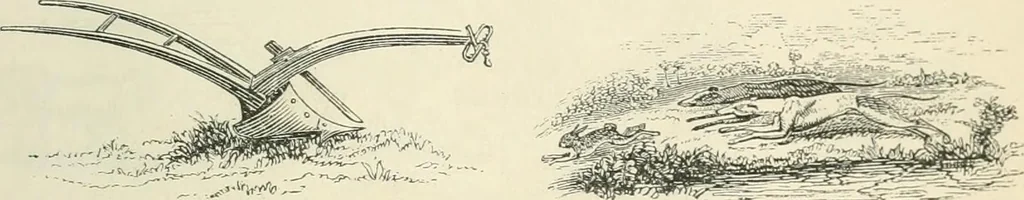 An illustration from Selections from the specimen book of the Fann Street Foundry, 1874, leaf 298