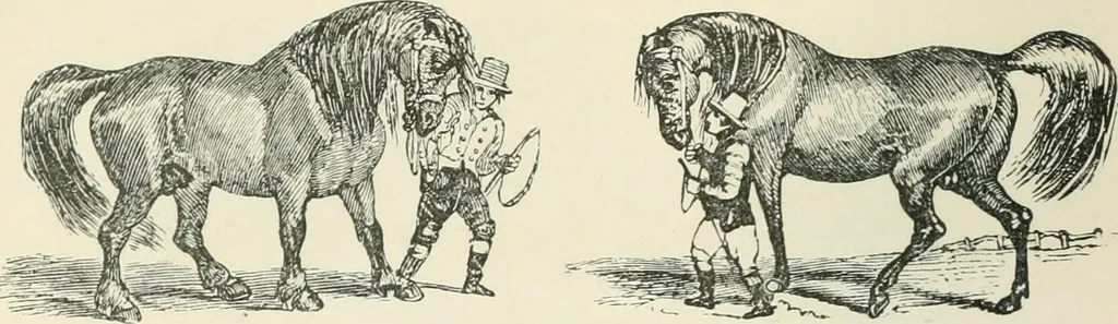 An illustration from Selections from the specimen book of the Fann Street Foundry, 1874, leaf 299