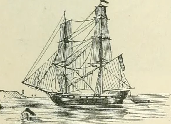 An illustration from Selections from the specimen book of the Fann Street Foundry, 1874, leaf 302