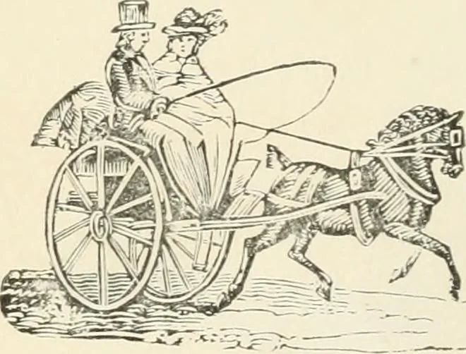 An illustration from Selections from the specimen book of the Fann Street Foundry, 1874, leaf 307