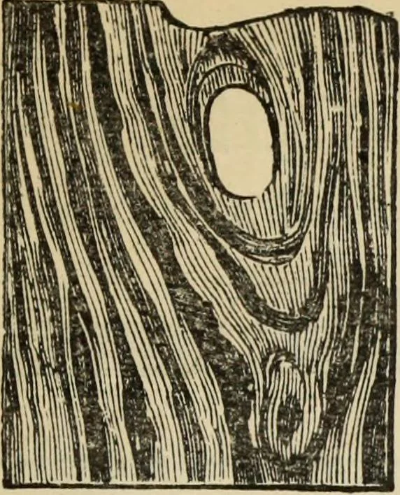 An illustration from Select list from the manufactures of Reeves & Sons Ltd. : for colonial dealers in hardware, builders' supplies, oil and colour stores, 1900, leaf 12