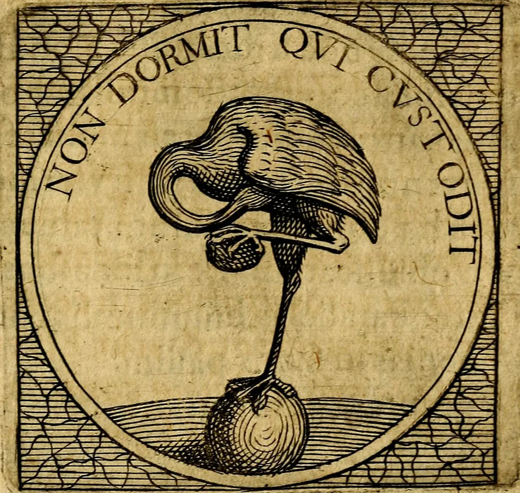 An illustration from Selectorum symbolorvm heroicorvm centvria gemina, 1619, leaf 204