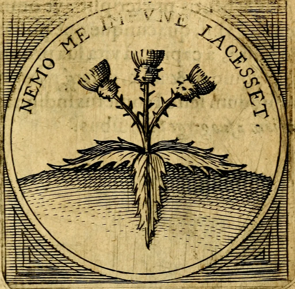 An illustration from Selectorum symbolorvm heroicorvm centvria gemina, 1619, leaf 212