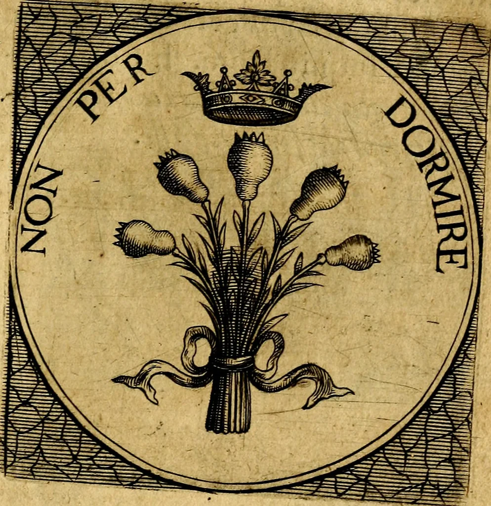 An illustration from Selectorum symbolorvm heroicorvm centvria gemina, 1619, leaf 242