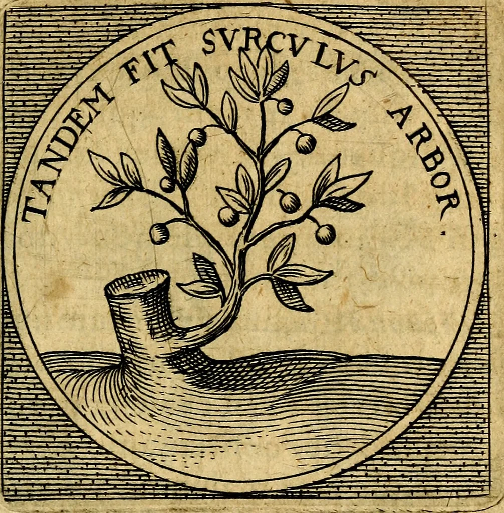 An illustration from Selectorum symbolorvm heroicorvm centvria gemina, 1619, leaf 410