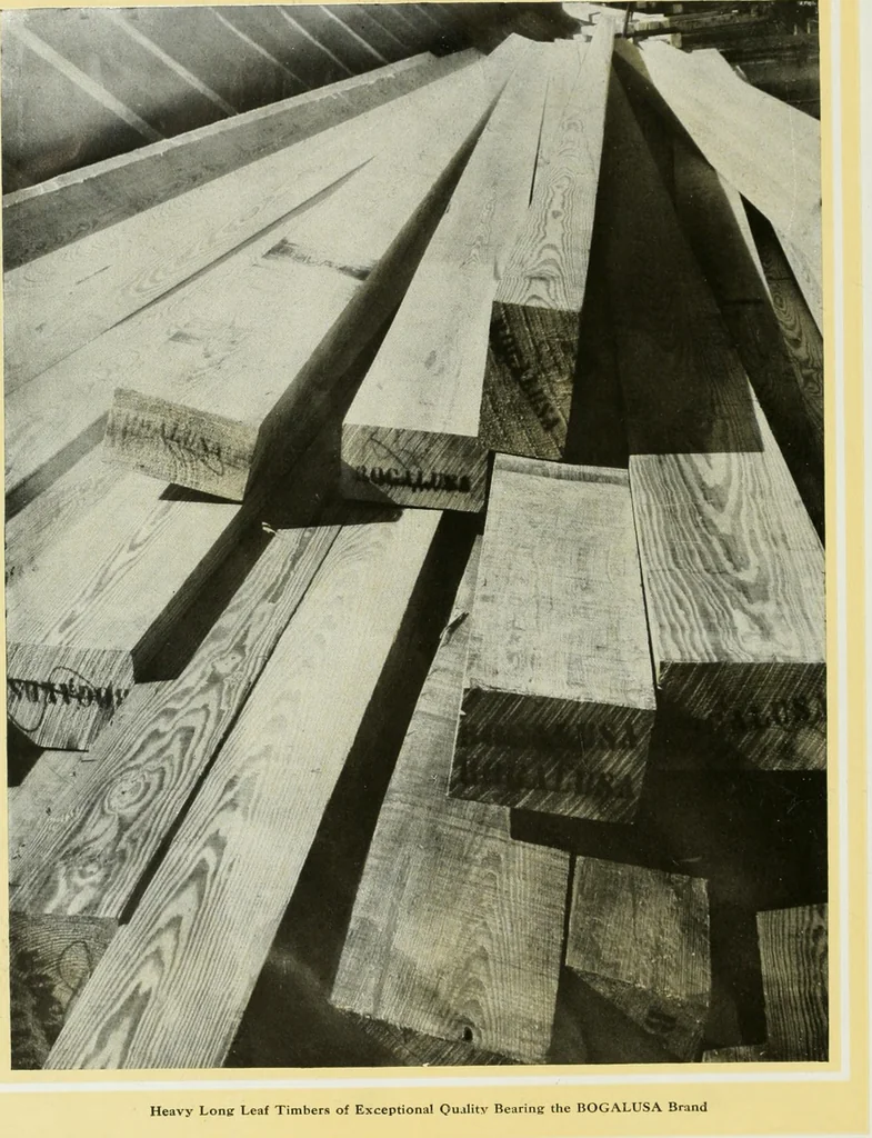 An illustration from Select structural material, its characteristics and uses : manufactured from genuine long leaf pine (Pinus palustris), 1915, leaf 11