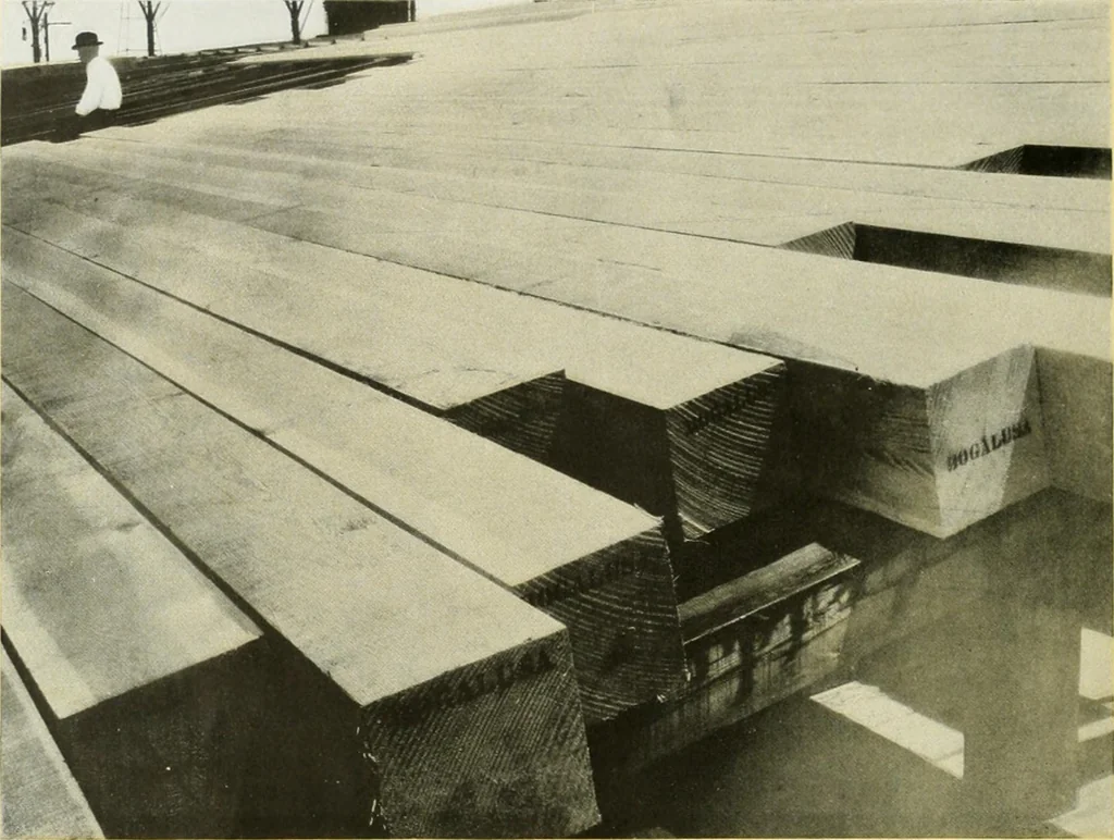 An illustration from Select structural material, its characteristics and uses : manufactured from genuine long leaf pine (Pinus palustris), 1915, leaf 17