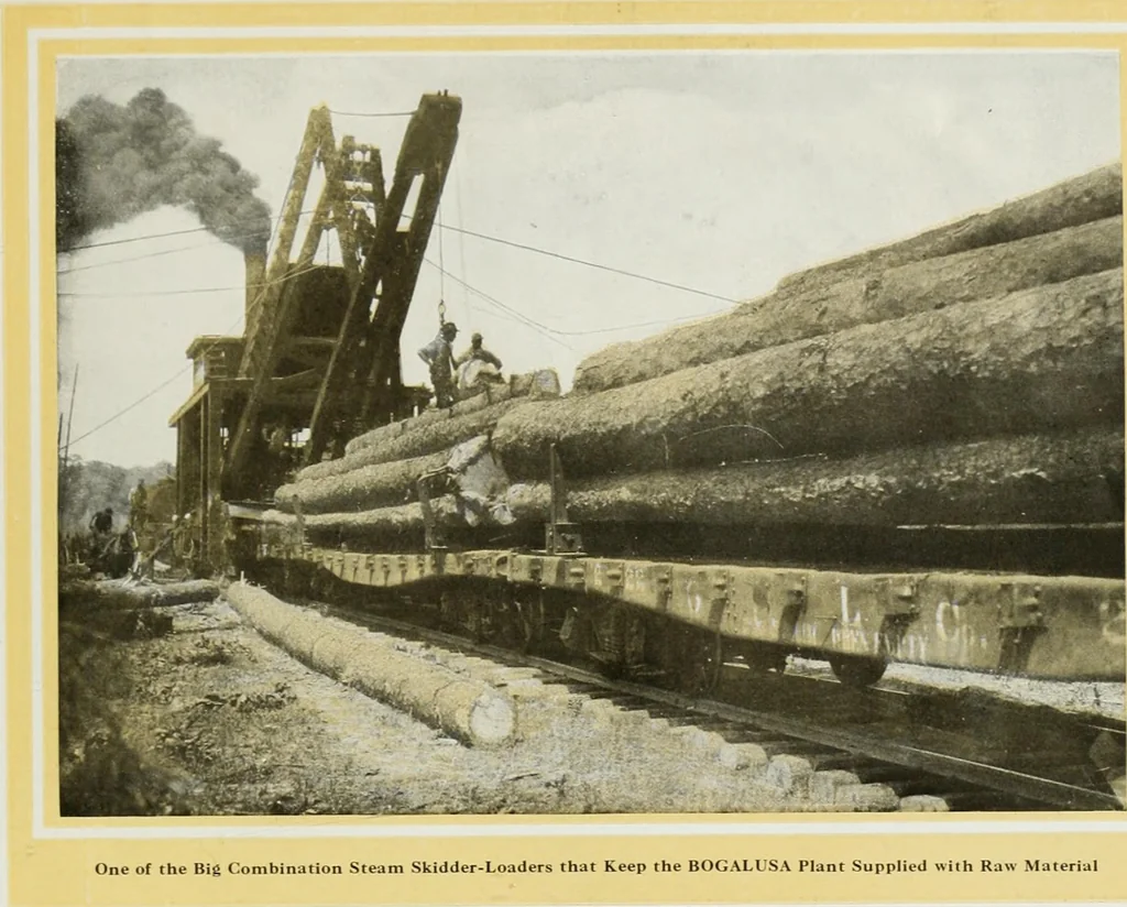 An illustration from Select structural material, its characteristics and uses : manufactured from genuine long leaf pine (Pinus palustris), 1915, leaf 8