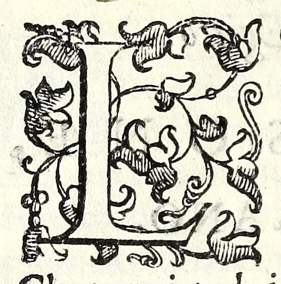 An illustration from Selene : tragedia, 1583, leaf 10