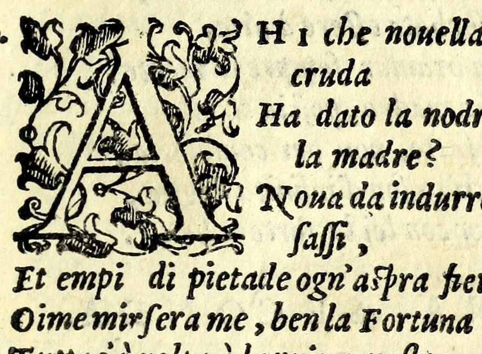 An illustration from Selene : tragedia, 1583, leaf 109