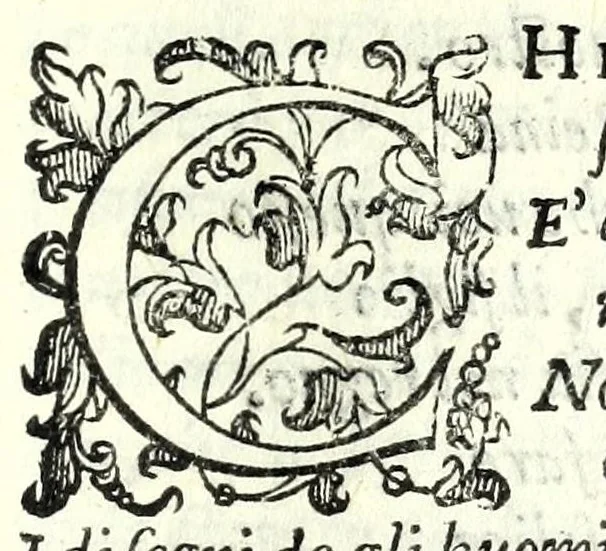 An illustration from Selene : tragedia, 1583, leaf 13