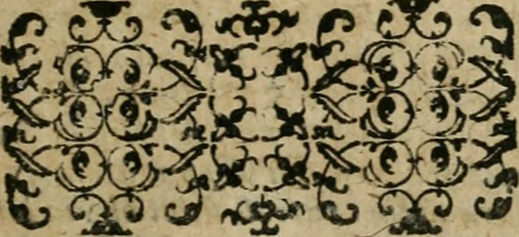 An illustration from Seleniana augustalia Iohannis Valentini Andreae, S.T.D. : una cum opusculis alijs, 1649, leaf 26