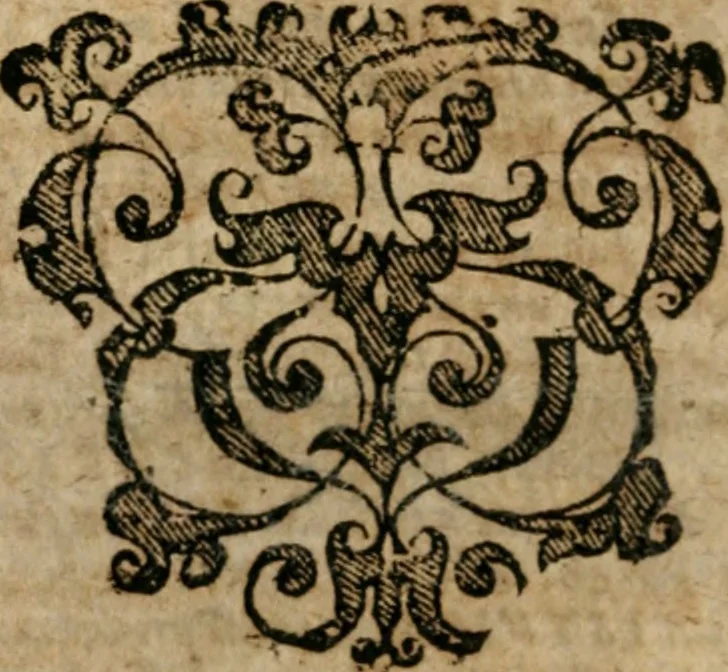 An illustration from Seleniana augustalia Iohannis Valentini Andreae, S.T.D. : una cum opusculis alijs, 1649, leaf 63