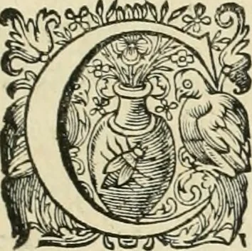 An illustration from Seleucidarum imperium, sive, Historia regum Syriae ad fidem numismatum accommodata, 1681, leaf 12