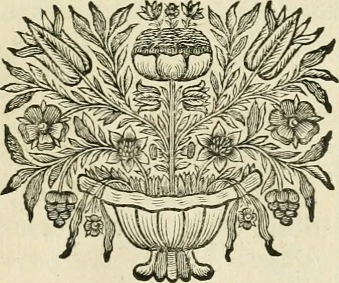 An illustration from Seleucidarum imperium, sive, Historia regum Syriae ad fidem numismatum accommodata, 1681, leaf 246