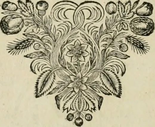 An illustration from Seleucidarum imperium, sive, Historia regum Syriae ad fidem numismatum accommodata, 1681, leaf 271