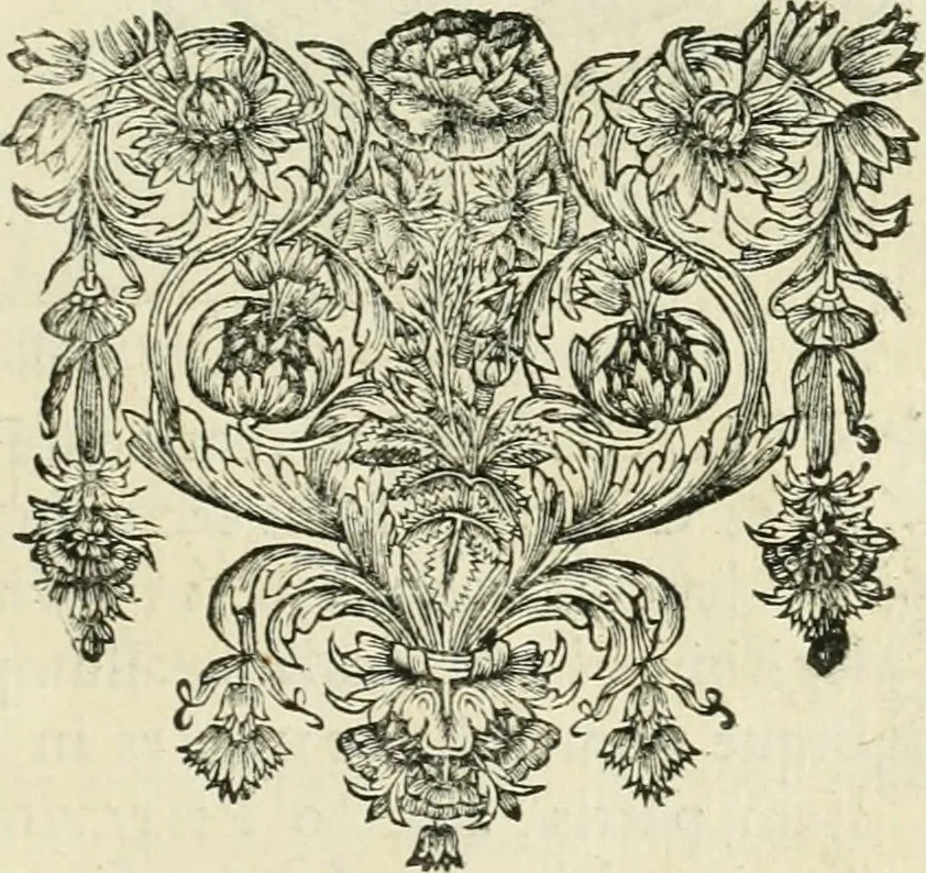 An illustration from Seleucidarum imperium, sive, Historia regum Syriae ad fidem numismatum accommodata, 1681, leaf 396