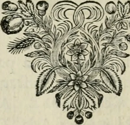 An illustration from Seleucidarum imperium, sive, Historia regum Syriae ad fidem numismatum accommodata, 1681, leaf 399