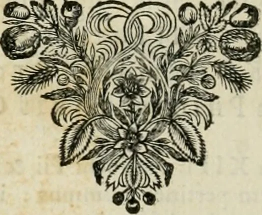 An illustration from Seleucidarum imperium, sive, Historia regum Syriae ad fidem numismatum accommodata, 1681, leaf 435