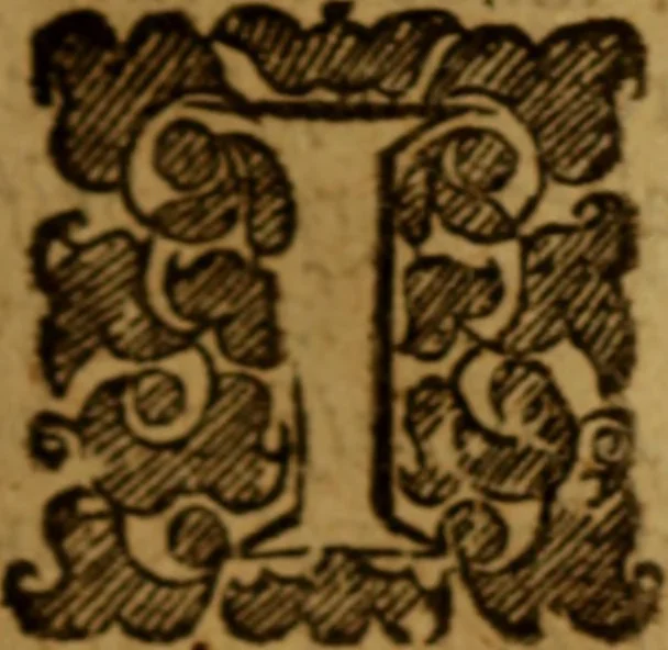 An illustration from A treatise of self-denial, 1675, leaf 100