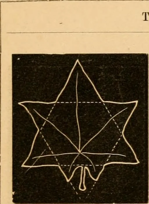 An illustration from Self-instructor : the child's first drawing book, containing all the pictures on Andrews' noiseless drawing slates for schools and families., 1878, leaf 10