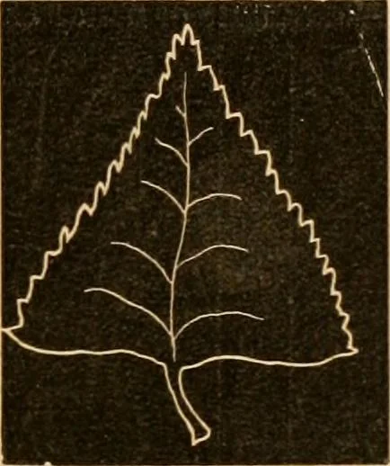 An illustration from Self-instructor : the child's first drawing book, containing all the pictures on Andrews' noiseless drawing slates for schools and families., 1878, leaf 10