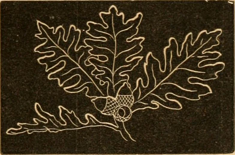 An illustration from Self-instructor : the child's first drawing book, containing all the pictures on Andrews' noiseless drawing slates for schools and families., 1878, leaf 10