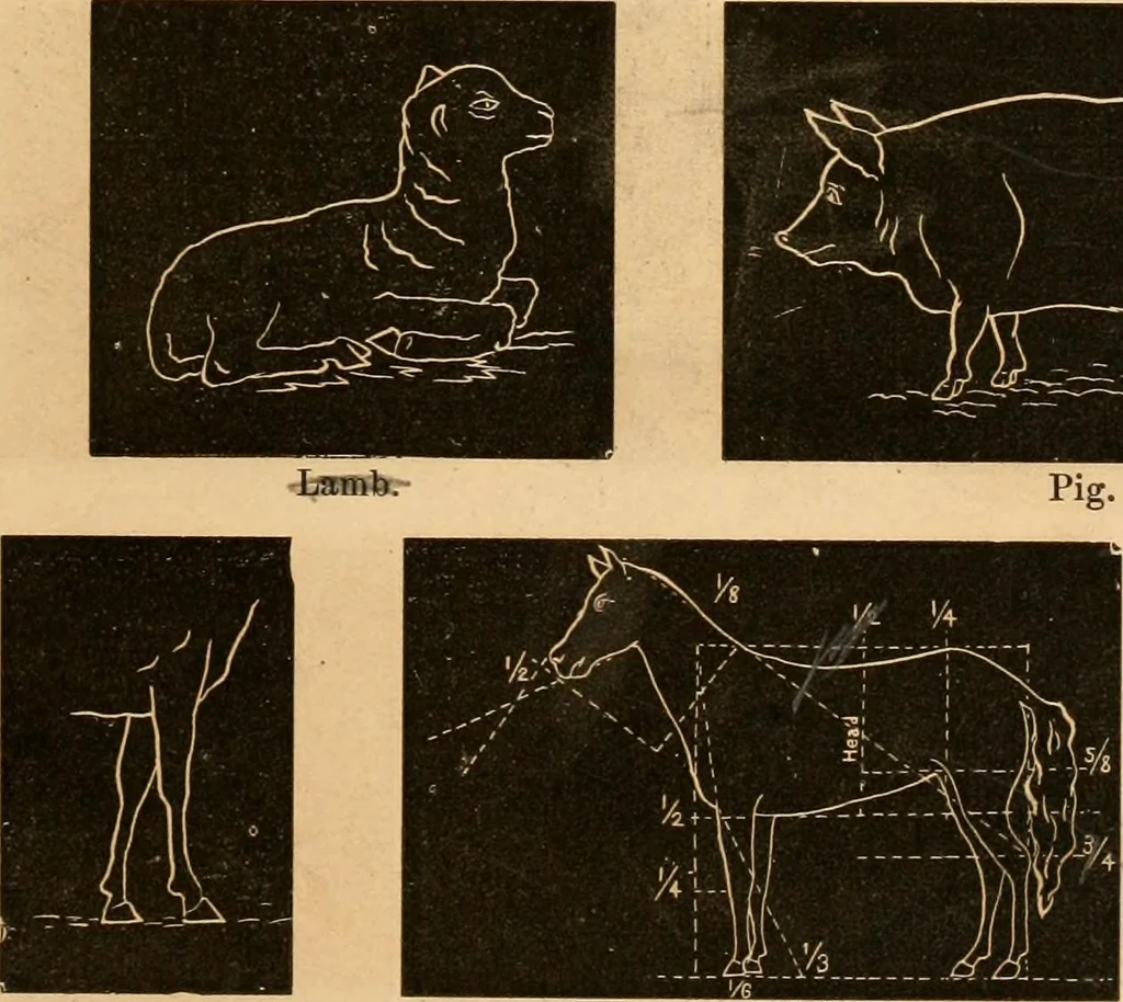 An illustration from Self-instructor : the child's first drawing book, containing all the pictures on Andrews' noiseless drawing slates for schools and families., 1878, leaf 12