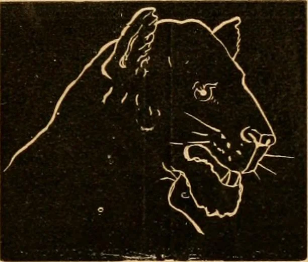 An illustration from Self-instructor : the child's first drawing book, containing all the pictures on Andrews' noiseless drawing slates for schools and families., 1878, leaf 14