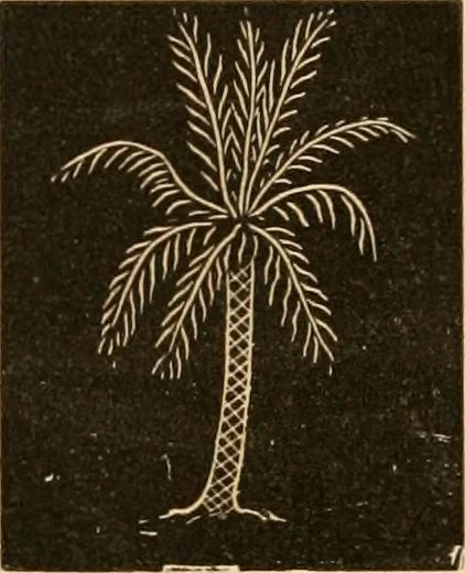An illustration from Self-instructor : the child's first drawing book, containing all the pictures on Andrews' noiseless drawing slates for schools and families., 1878, leaf 19