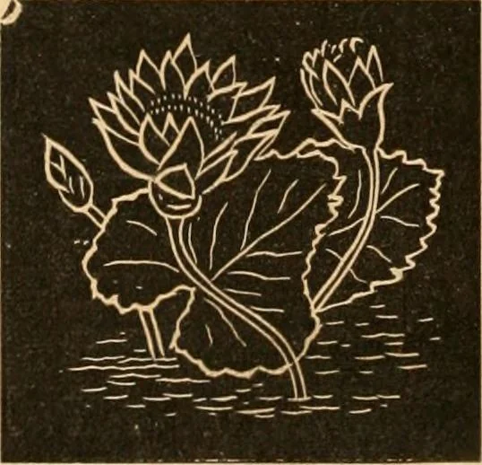 An illustration from Self-instructor : the child's first drawing book, containing all the pictures on Andrews' noiseless drawing slates for schools and families., 1878, leaf 19