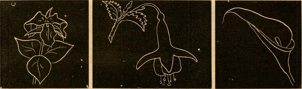 An illustration from Self-instructor : the child's first drawing book, containing all the pictures on Andrews' noiseless drawing slates for schools and families., 1878, leaf 21