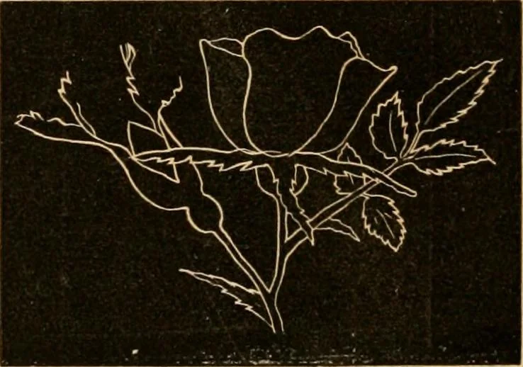 An illustration from Self-instructor : the child's first drawing book, containing all the pictures on Andrews' noiseless drawing slates for schools and families., 1878, leaf 21