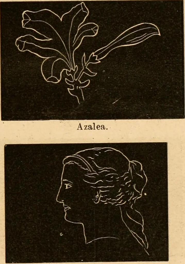 An illustration from Self-instructor : the child's first drawing book, containing all the pictures on Andrews' noiseless drawing slates for schools and families., 1878, leaf 22