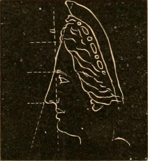 An illustration from Self-instructor : the child's first drawing book, containing all the pictures on Andrews' noiseless drawing slates for schools and families., 1878, leaf 23