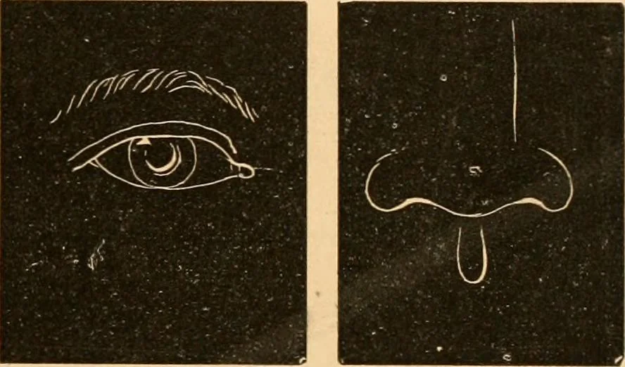 An illustration from Self-instructor : the child's first drawing book, containing all the pictures on Andrews' noiseless drawing slates for schools and families., 1878, leaf 24