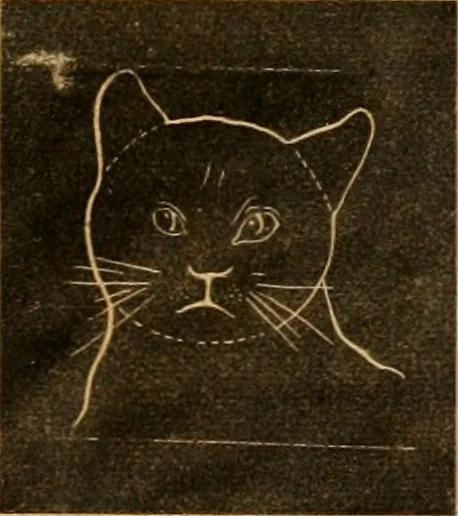 An illustration from Self-instructor : the child's first drawing book, containing all the pictures on Andrews' noiseless drawing slates for schools and families., 1878, leaf 8